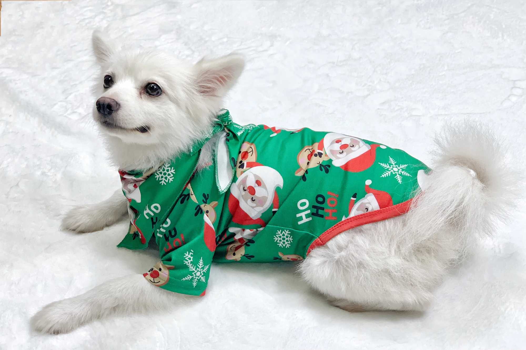 New Christmas 2024 Mother Father Child Matching Set Santa Claus Printed Pajama Set Family Baby Dog Hoodie Green Christmas Appearance W241015