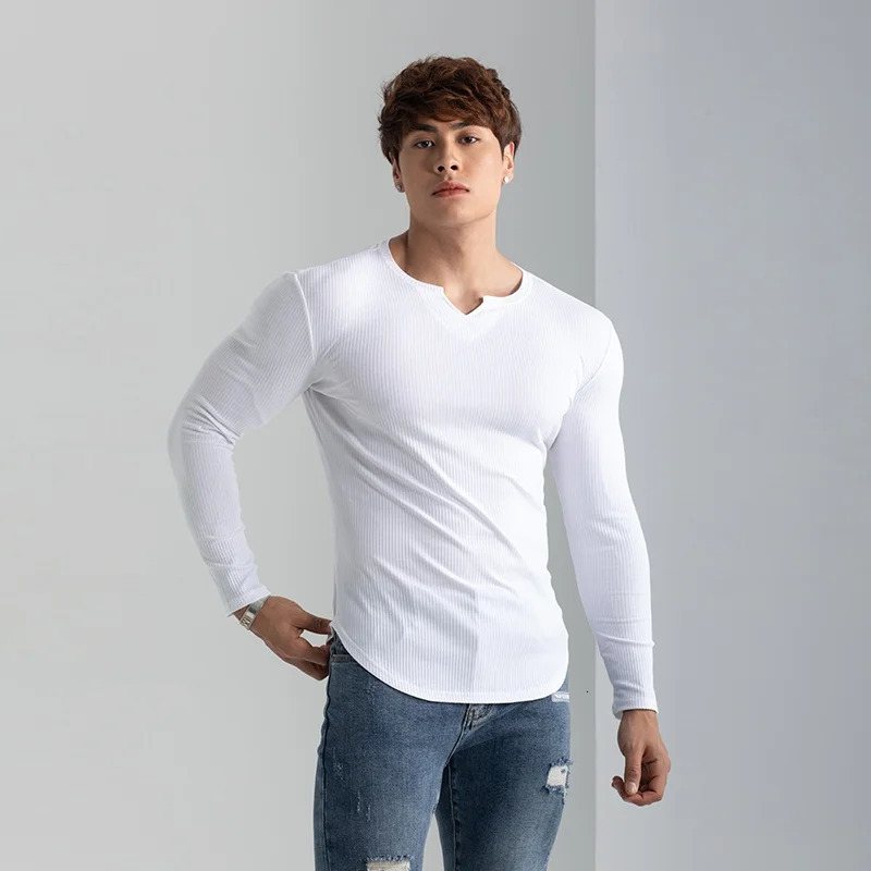 Men Summer Slim Fit Fashion Long Sleeved Top Fitness Motion Hip Hop Streetwear Running And Fitness V Neck Trend Top 241017