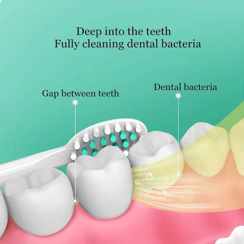 Adult electric toothbrush battery version sonic vibration travel toothbrush IPX7 waterproof dental whitening with brush head M241017