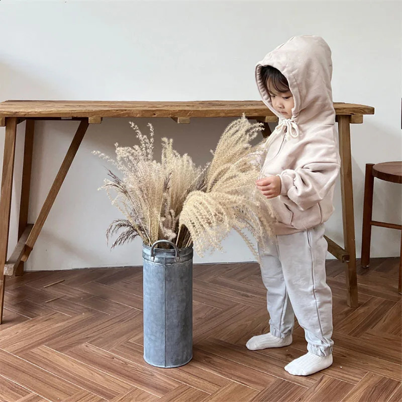 Autumn Baby Long Sleeve Hooded Sweatshirt Boys Girls Cotton Zipper Coat Infant Toddler Solid Casual Hoodie Clothes 241017