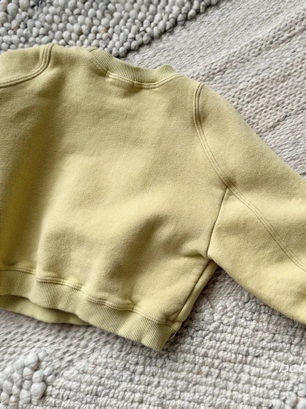 Spring Infant Long Sleeve Pullover Baby Letter Print Tops Children Casual Sweatshirt Toddler Boy Girl Clothes 241017