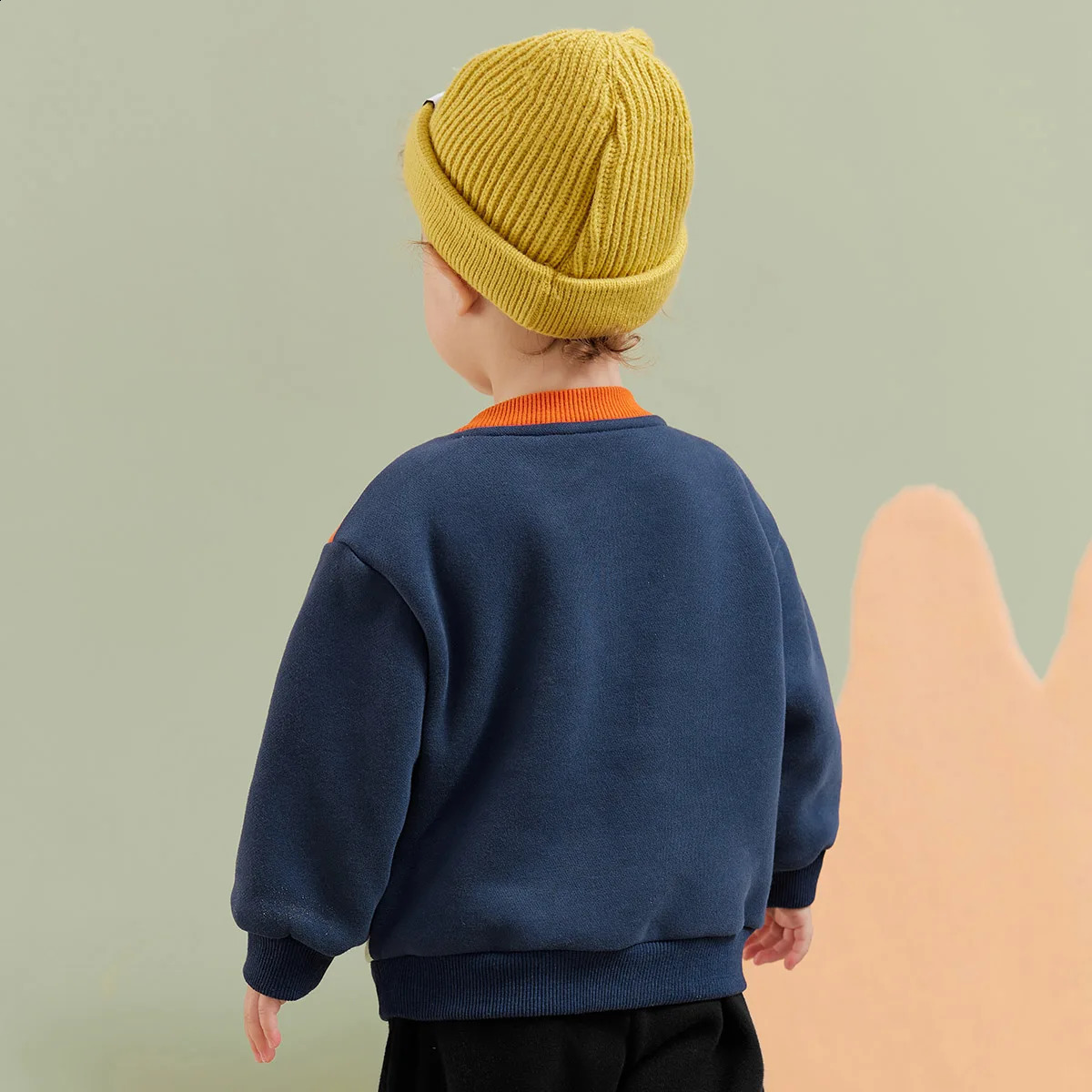 Amila Baby Boy Hoodie Winter Multicolour Round Neck Fleecing Soft Fashion Warm Elastic Clothing 241017