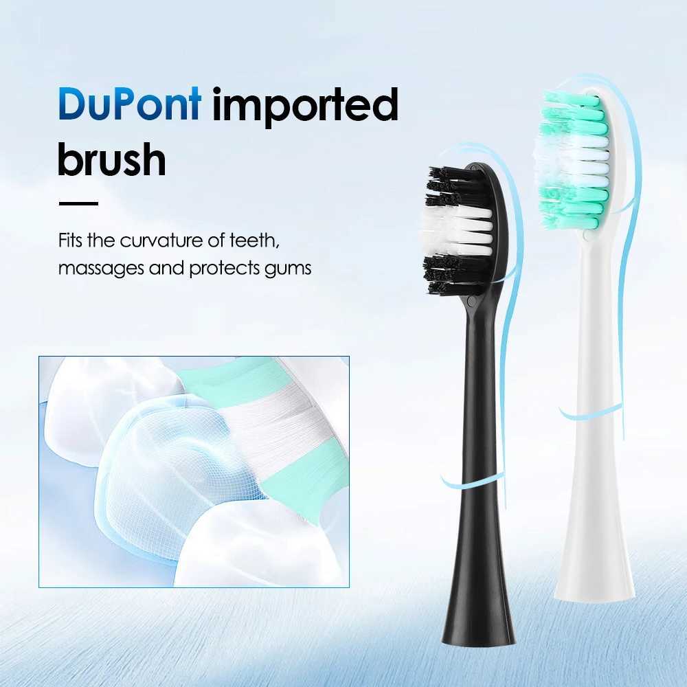 New Arrival Electric teeth cleaner sonic vibration dental dial calculus Tatar teeth removal whitening tool 6 toothbrush heads G241017