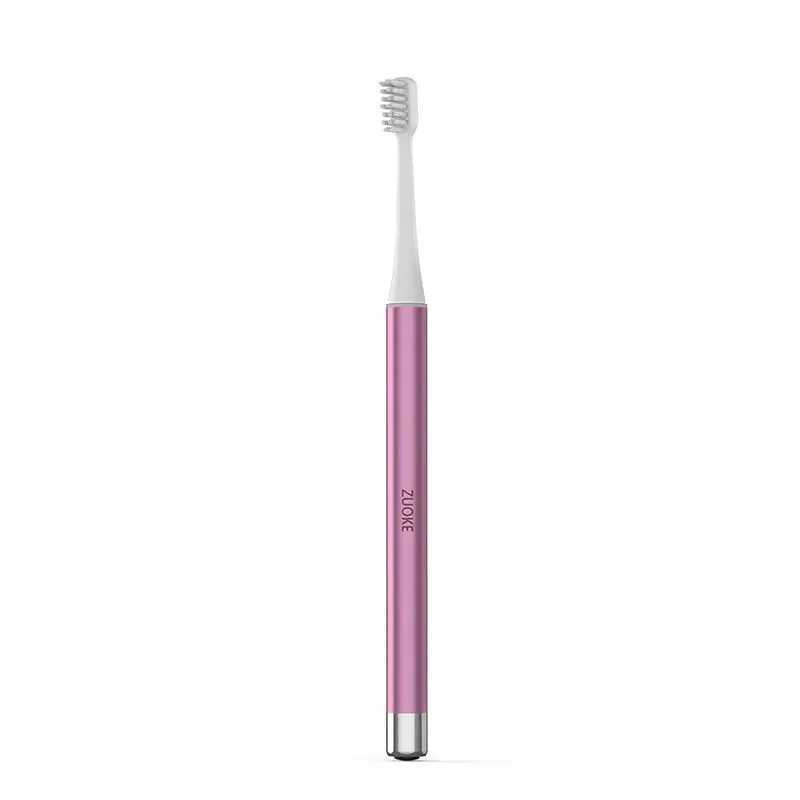 New Arrival Metal handle portable electric toothbrush with plug-in small stem cells for easy travel G241017