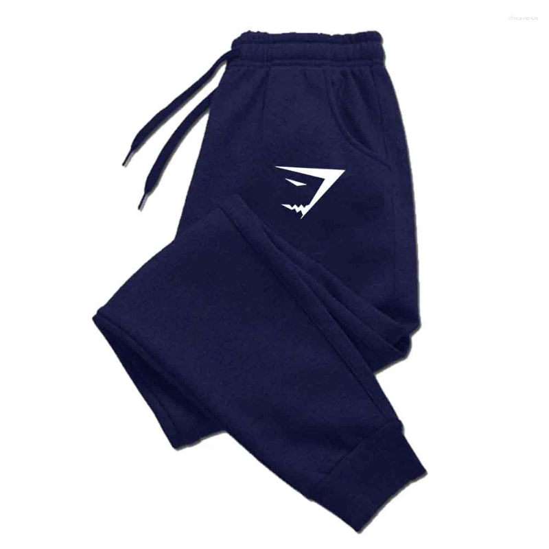Men's Pants Sweatpants Autumn Winter Sports Fitness Casual Jogger Gym Running Training Mid Waist Drawstring
