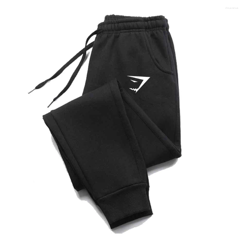 Men's Pants Sweatpants Autumn Winter Sports Fitness Casual Jogger Gym Running Training Mid Waist Drawstring