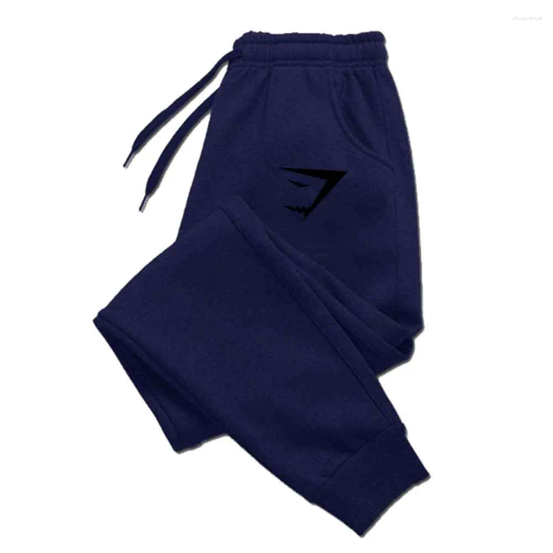 Men's Pants Sweatpants Autumn Winter Sports Fitness Casual Jogger Gym Running Training Mid Waist Drawstring