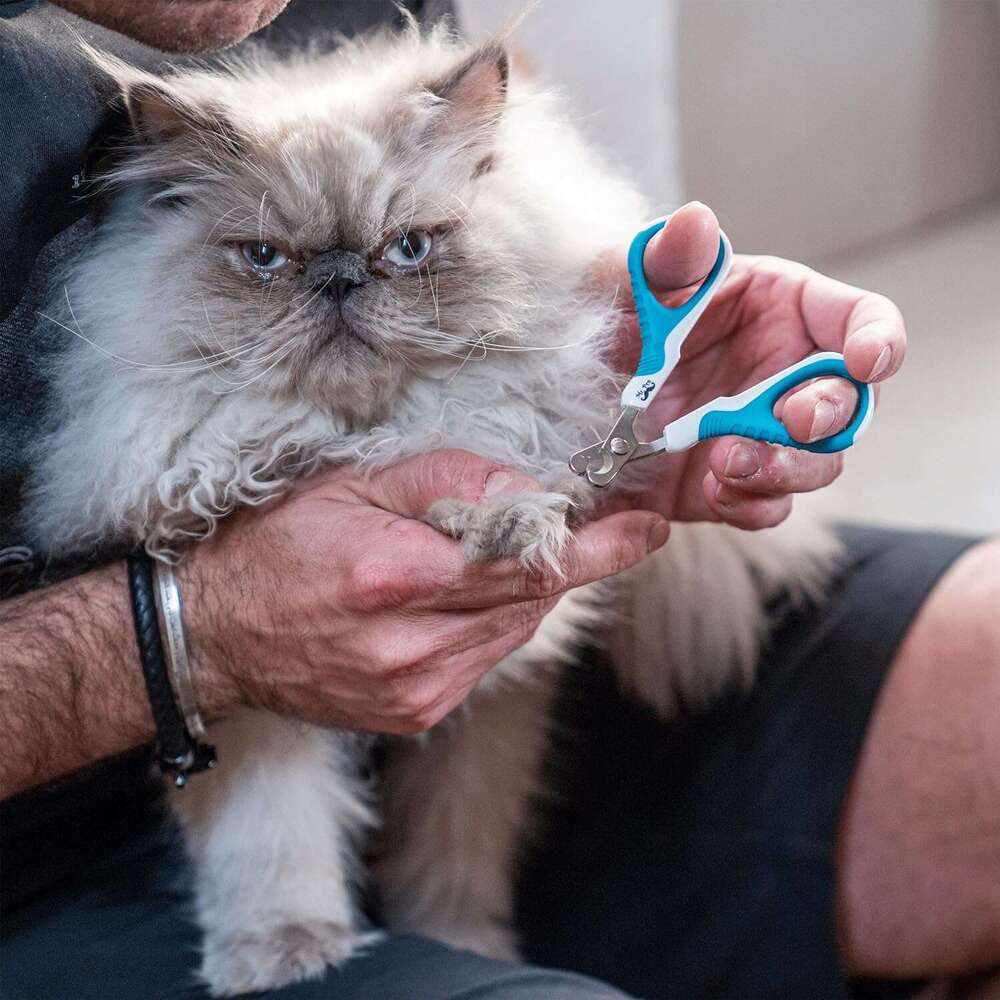 Mr. Pen- Cat Clipper, Kitten Trimmers, Pet Nail Cutter