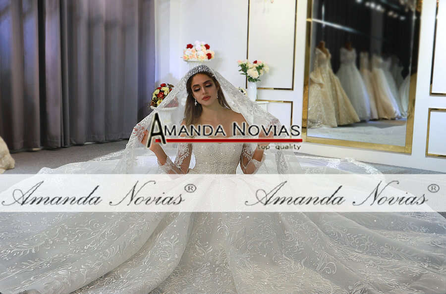 Off The Shoulder Long Sleeves Beautiful Wedding Lace Bridal Dress