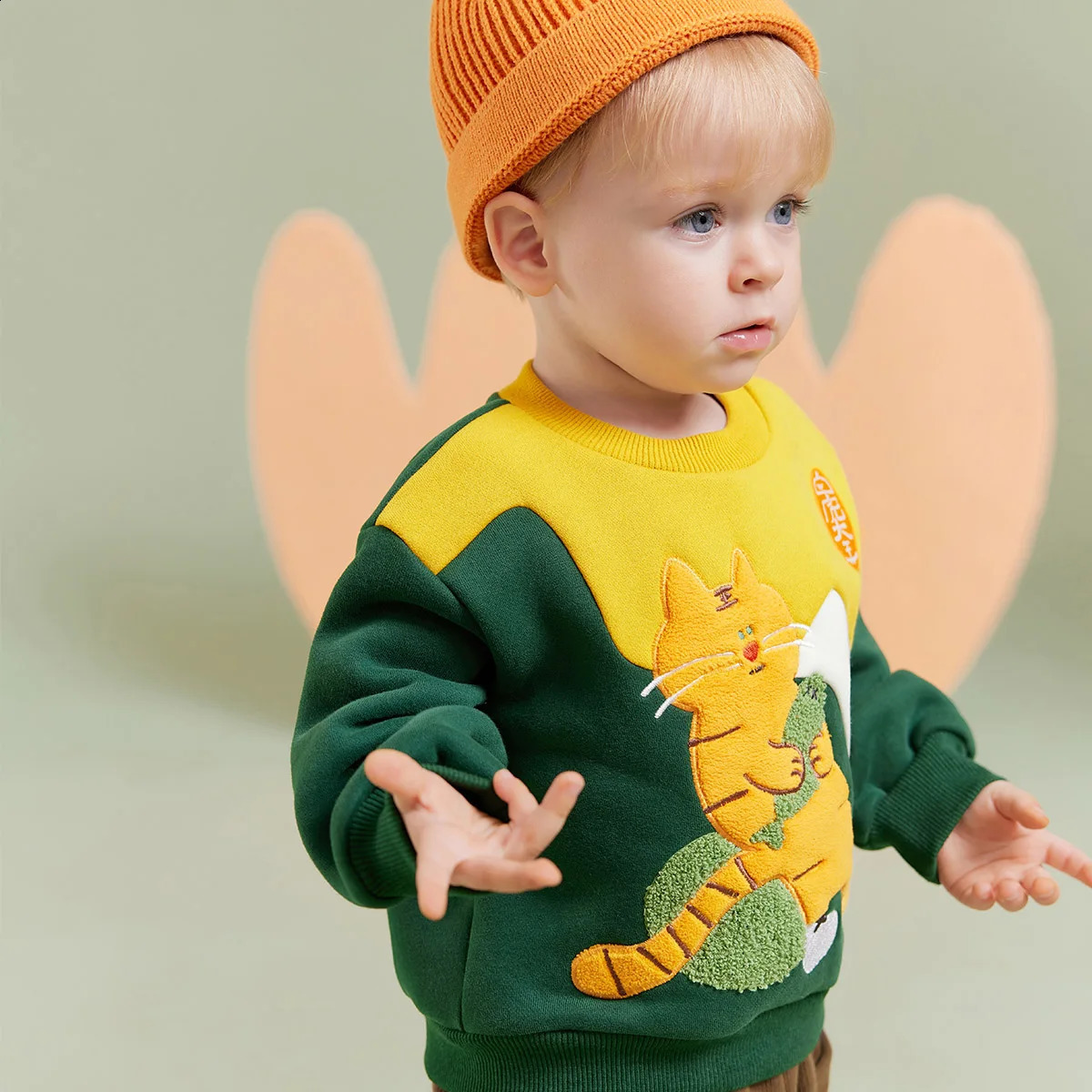 Amila Baby Boy Hoodie Winter Multicolour Round Neck Fleecing Soft Fashion Warm Elastic Clothing 241017