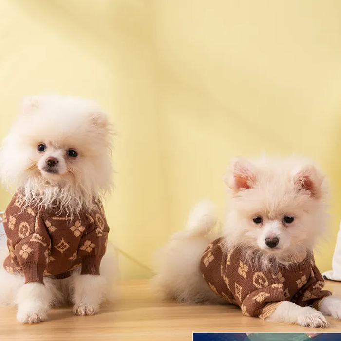 Luxury Designer dog Classic Clothes Dachshund Dog Sweaters For Small Dogs cat High Elasticity Soft And Comfortable Designer Pet Sweater Free Shipping