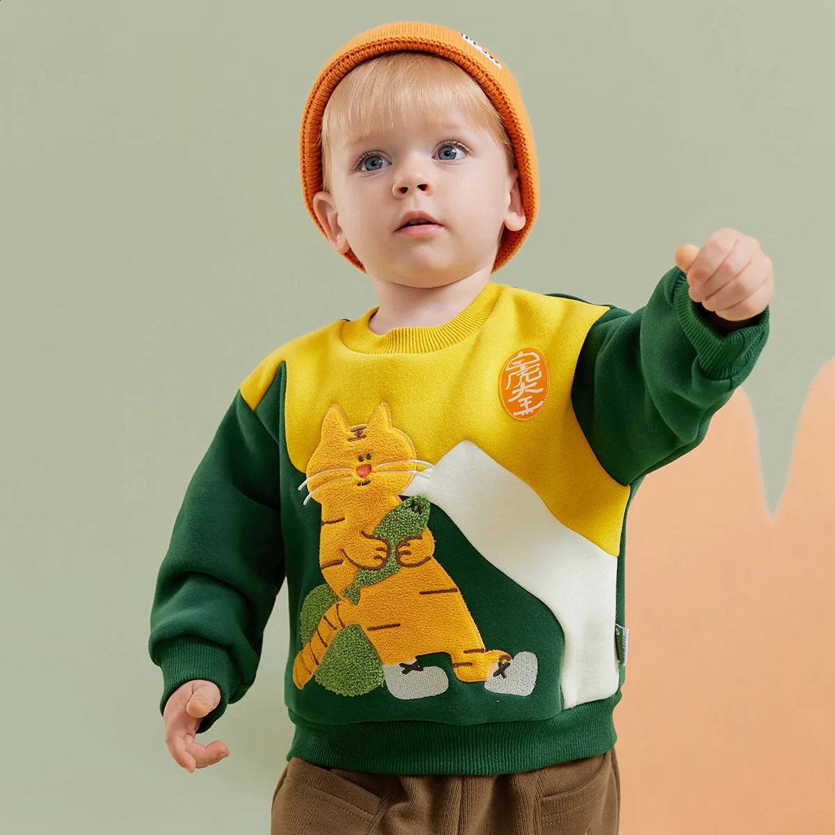 Amila Baby Boy Hoodie Winter Multicolour Round Neck Fleecing Soft Fashion Warm Elastic Clothing 241017