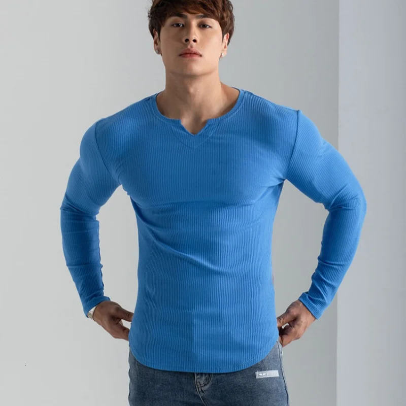 Men Summer Slim Fit Fashion Long Sleeved Top Fitness Motion Hip Hop Streetwear Running And Fitness V Neck Trend Top 241017