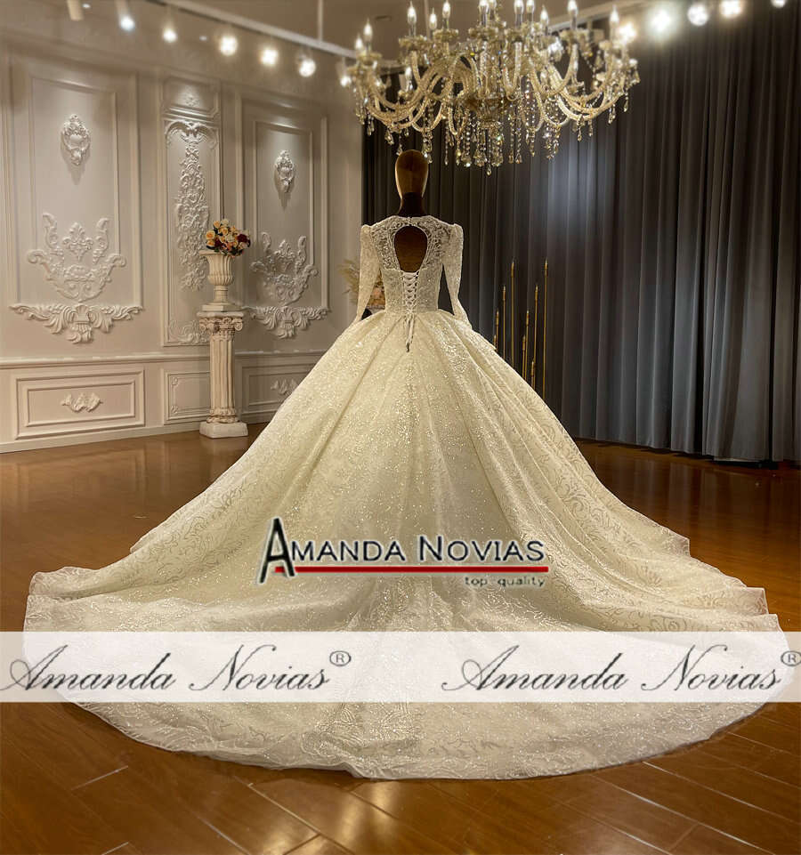 Princess V-necke Wedding Dress Long Sleeves
