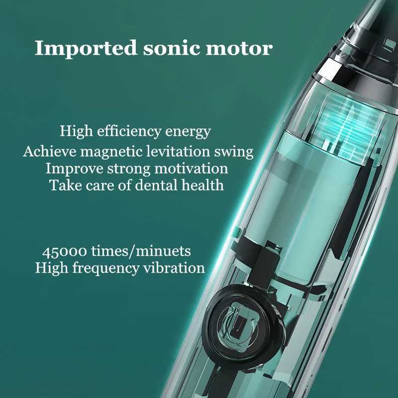 Adult electric toothbrush battery version sonic vibration travel toothbrush IPX7 waterproof dental whitening with brush head M241017