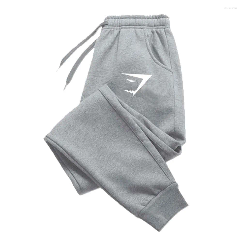 Men's Pants Sweatpants Autumn Winter Sports Fitness Casual Jogger Gym Running Training Mid Waist Drawstring