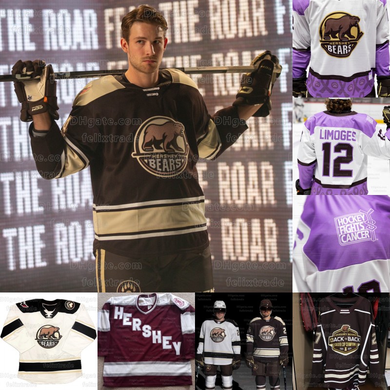CUSTOM 2024 Hershey Bears Calder Cup Finals Jersey Garrett Pilo Aaron Ness Connor McMichael Julian Napravnik Mike Vecchione Joe Snively Bogd Hockey Jerseys