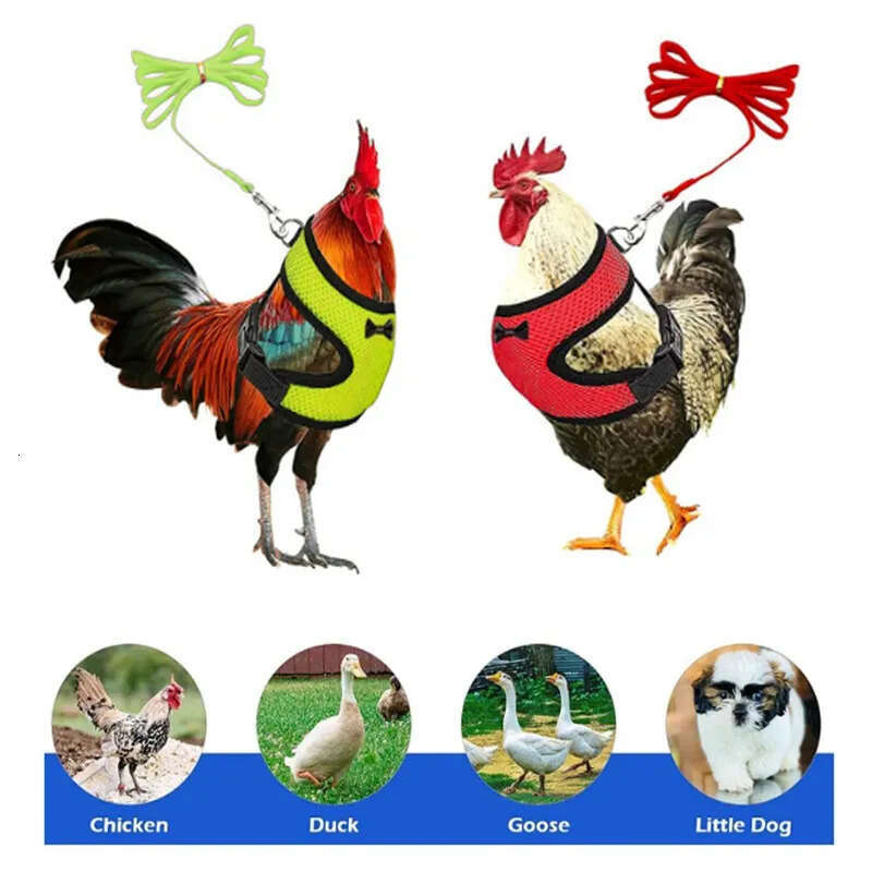 Mesh Adjustable Chicken Comfortable Breathable Vest Training Harness And Leash With Hing Belt For Duck Goose Hen Small Pets