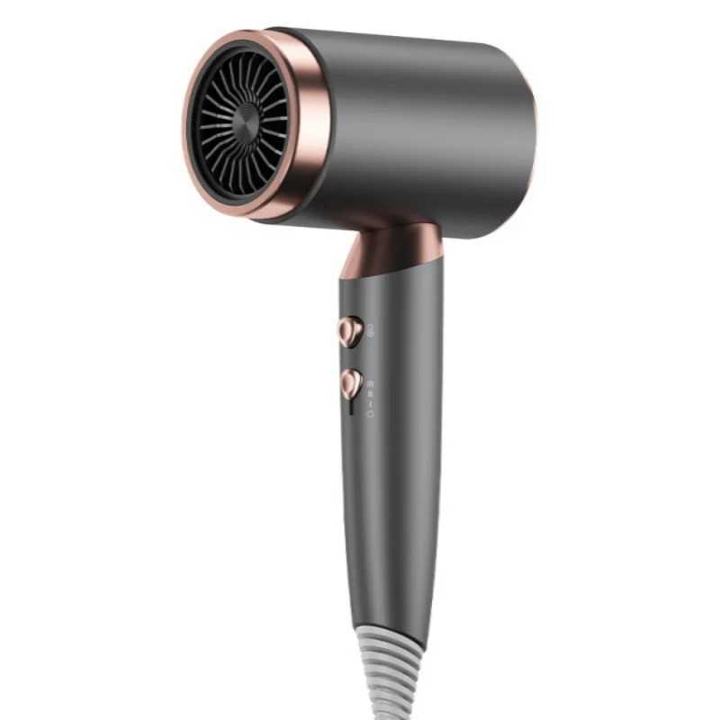 Negative ion hair removal machine high-power fast drying household/salon specific hair removal machine constant temperature hair care EU/US plug W2410