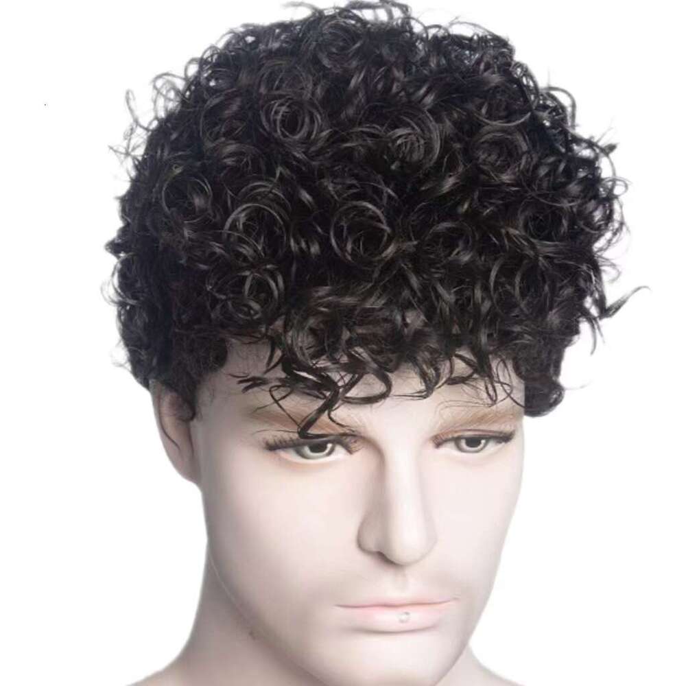 Handsome And Trendy Men's Wig, Fashionable Short Curly Hair, Fluffy Daily Wig Full Set