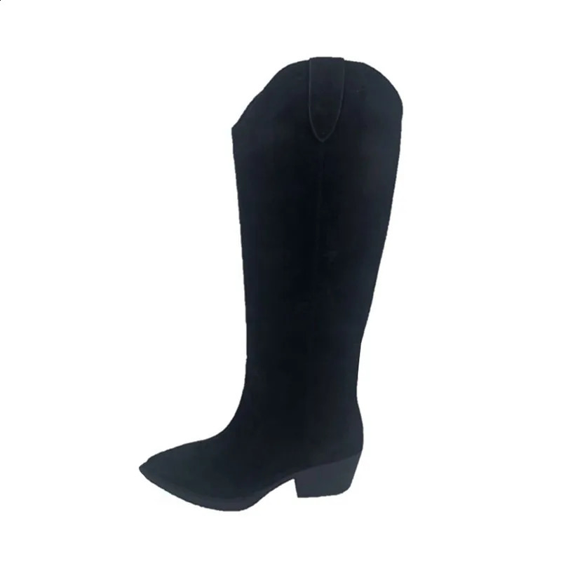 Arden Furtado cowboy women British style brown Western Boots chunky heels Pointed toe suede knee high boots 241031