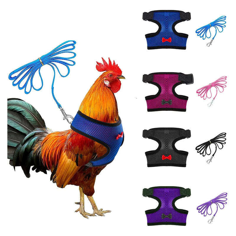 Mesh Adjustable Chicken Comfortable Breathable Vest Training Harness And Leash With Hing Belt For Duck Goose Hen Small Pets
