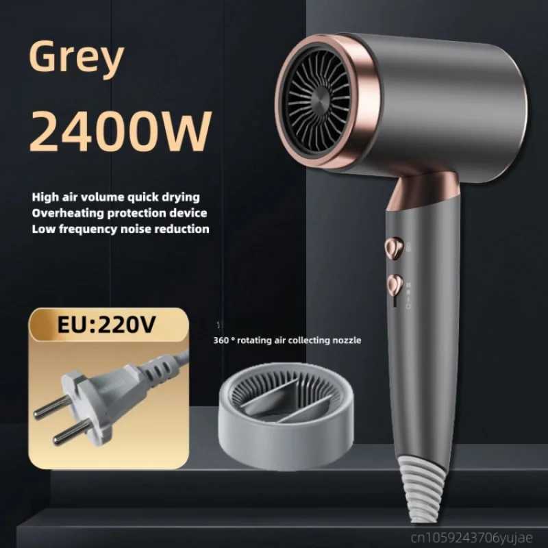 Negative ion hair removal machine high-power fast drying household/salon specific hair removal machine constant temperature hair care EU/US plug W2410