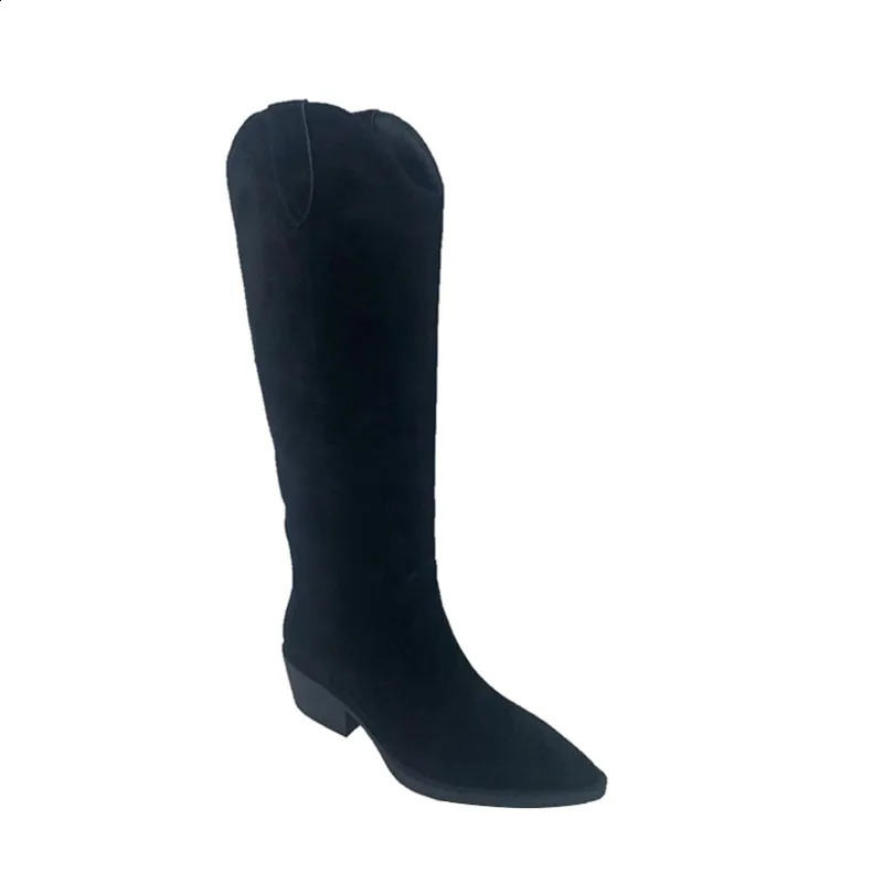 Arden Furtado cowboy women British style brown Western Boots chunky heels Pointed toe suede knee high boots 241031