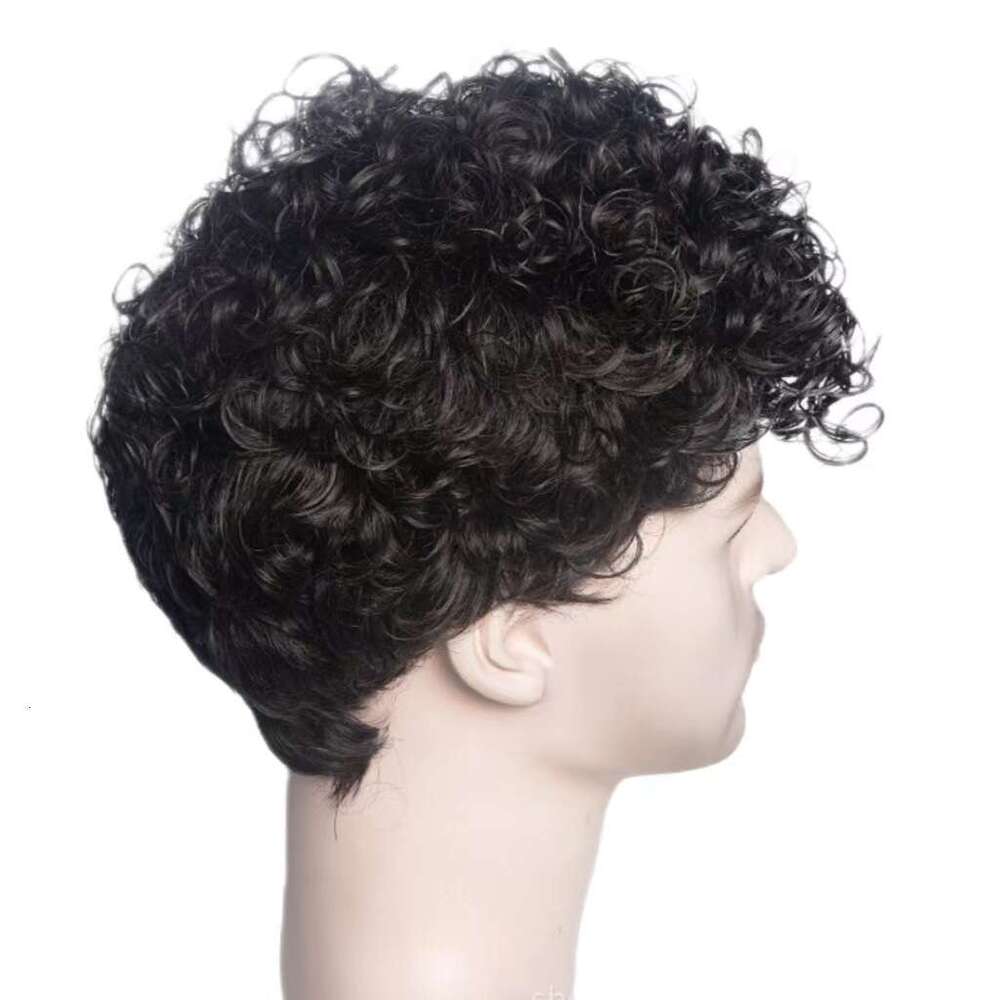 Handsome And Trendy Men's Wig, Fashionable Short Curly Hair, Fluffy Daily Wig Full Set