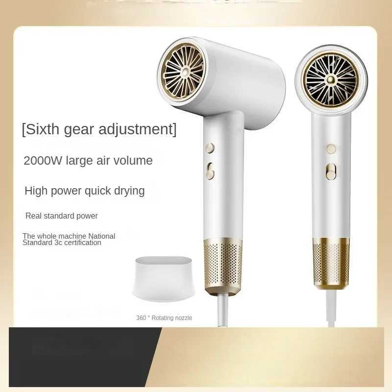 2000W Anionic High Speed Hair Removal Machine Electric Turbine Safe Low Noise Constant Temperature Fast Drying Suitable for Home Salon W241018