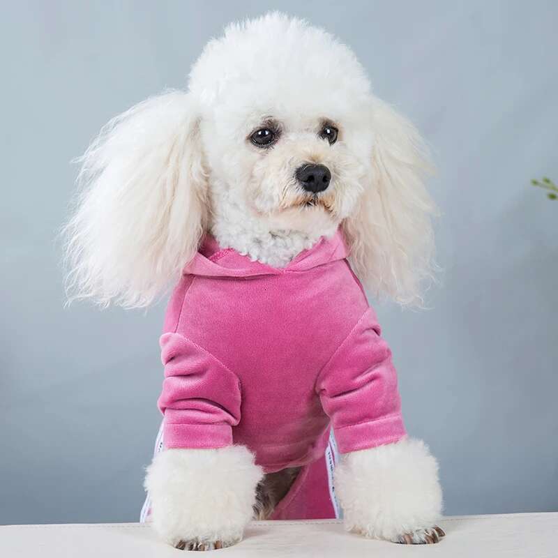 Dog Clothes for Small Dogs Cat Warm Winter Pet Clothing Soft Veet Overalls Puppy Girl Hoodies Jumpsuit Sweatshirt Chihuahua