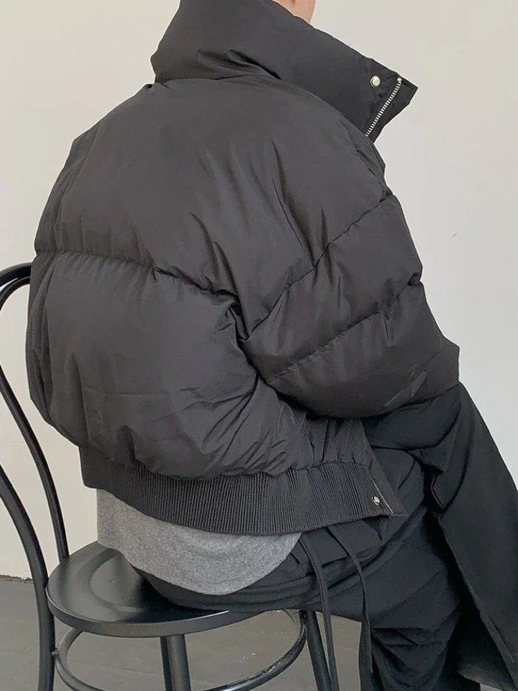 Short Parkas mens retro chic street fashion minimalism Korean autumn basic unisex jacket rack collar Gothic 241019