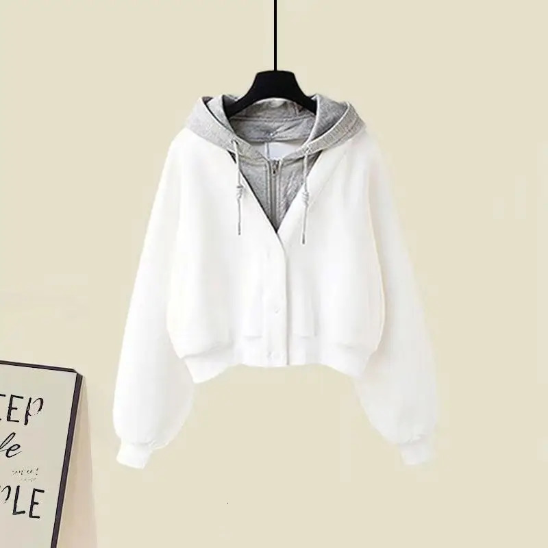 Womens Dress Spring and Autumn Single/Set Korean Fashion Casual Hoodie Knitted Dress Casual Jacket Two Piece Set 241018