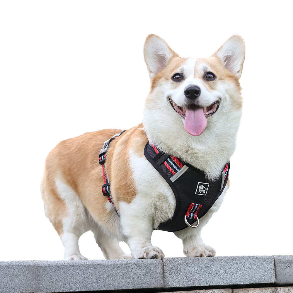 Pet Chest Back Dog Walking Out Explosion proof Large, Medium and Small Dog Chest Strap Racerback Vest corgi Haulage Rope
