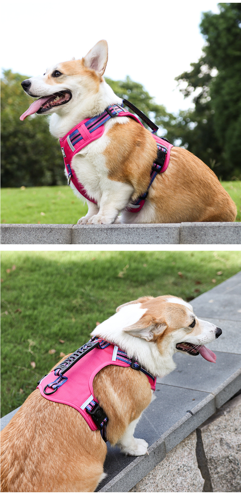 Pet Chest Back Dog Walking Out Explosion proof Large, Medium and Small Dog Chest Strap Racerback Vest corgi Haulage Rope