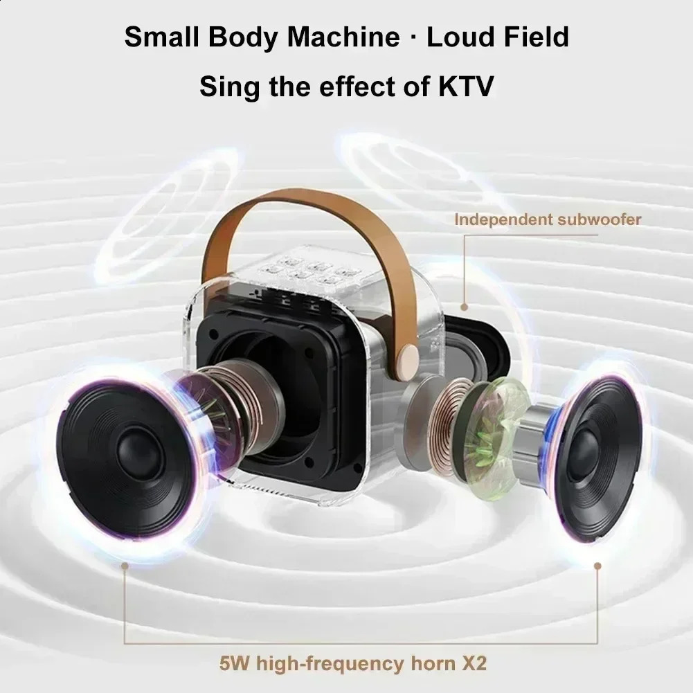 Portable wireless karaoke ser with microphone KTV ser with RGB color LED lights karaoke machine 241019