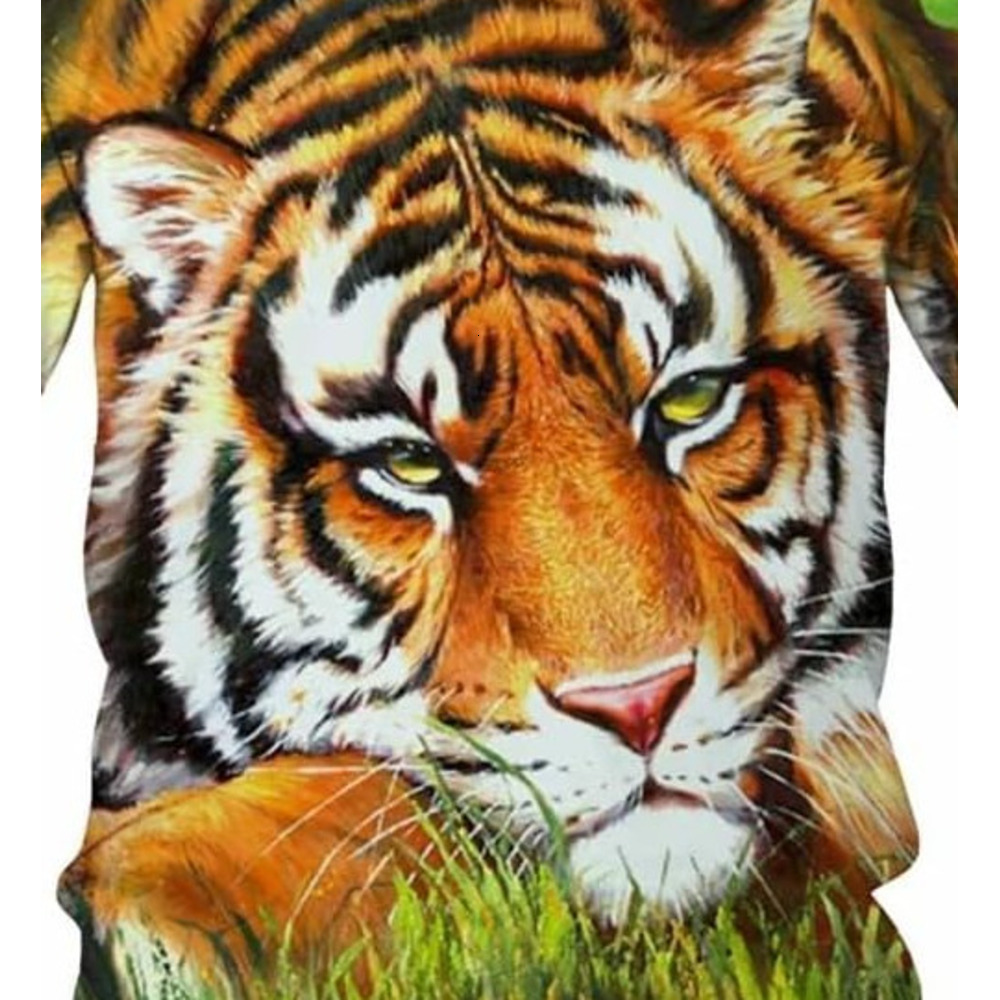 Mens T shirt Men Women Cool T-Shirt Funny 3D T Shirt Print Tiger and Cats Short Sleeve Summer Tops Teen Graphic Casual tops summer clothes