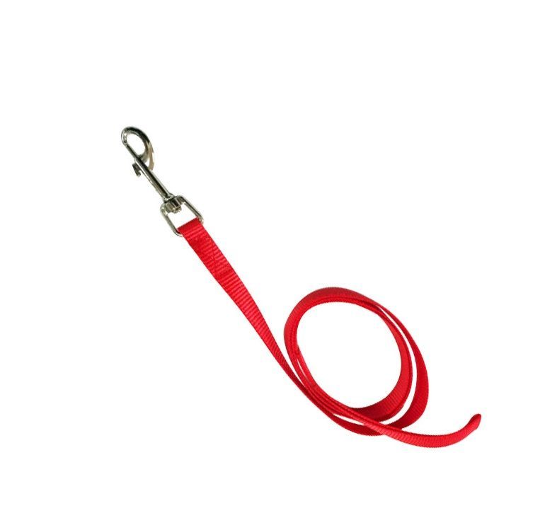 Dog Leashes Cute Nylon Rope For Samll Cat Chihuahua Outdoor Walking Running Collar Leads Pet Products Supplier Reaction Colorful