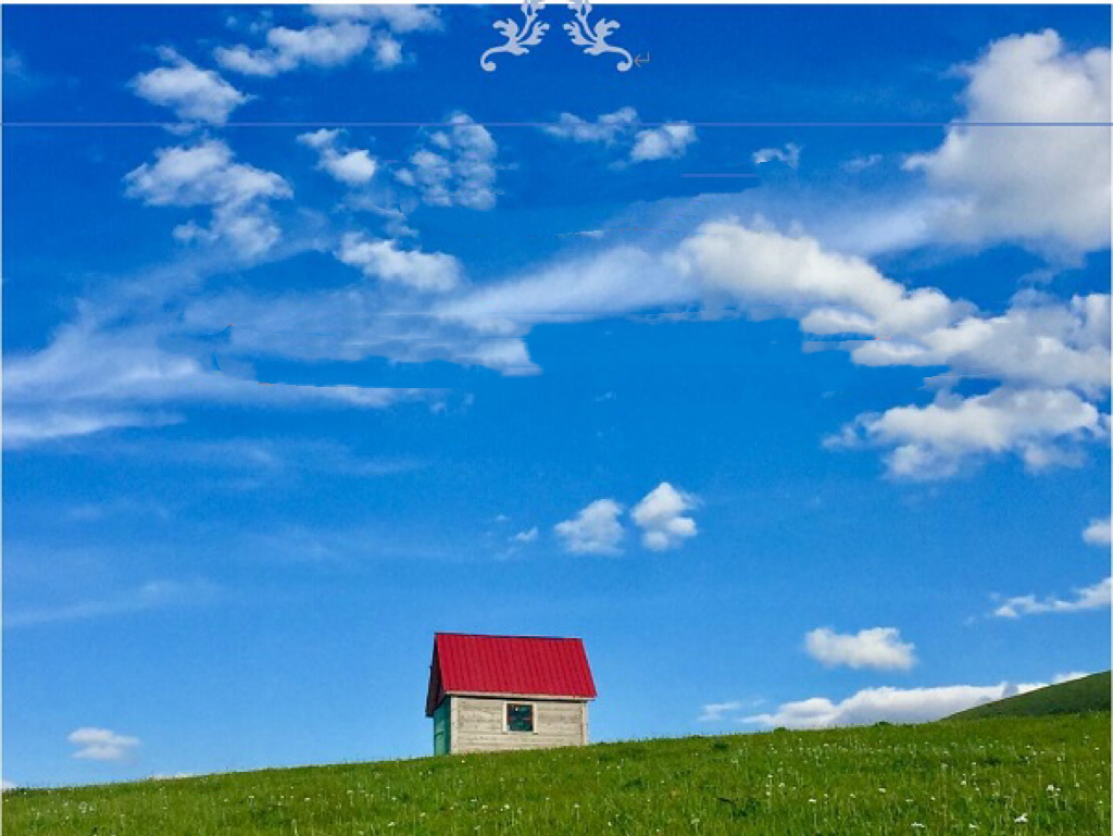 23ss Kids Fashion T-shirts Short Sleeve Tees Tops Boys Girls Children Casual Letter Printed Pattern T-shirts Pullover Offline customer t shirts 186