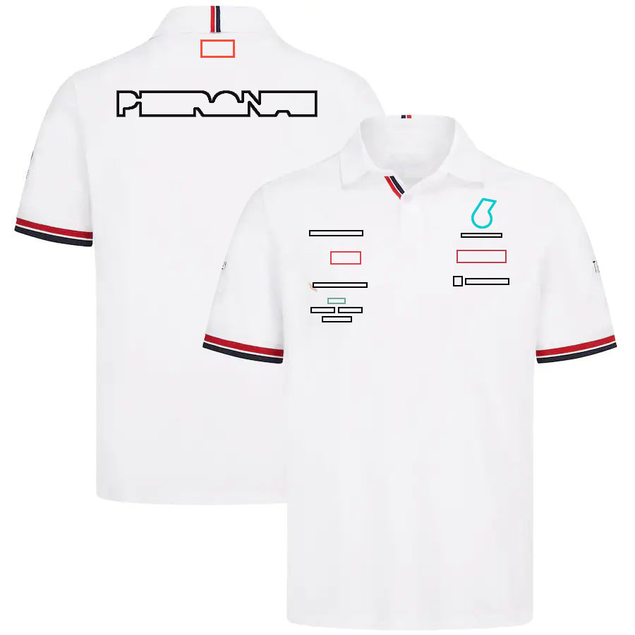 2025 New T-Shirt Formula 1 Driver Polo T-shirt Custom F1 Team Fan Casual Oversized T Shirt Summer Quick Dry Short Sleeve free shipping