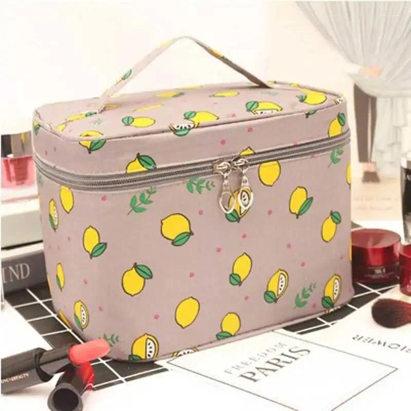 Cosmetic Bags Handheld Makeup Storage Bag Waterproof Portable Multifunctional Travel Cleaning Organiser Jewellery Display Case zhanyishengli