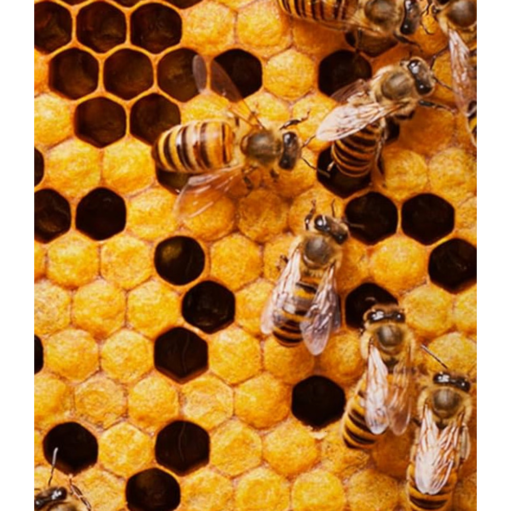 Mens T shirt Summer Fashion Horror Skull 3D Printed T Shirt O-Neck Short Sleeve Casual Cool fashion Breathable Male T Shirt Men Clothing tee Casual to