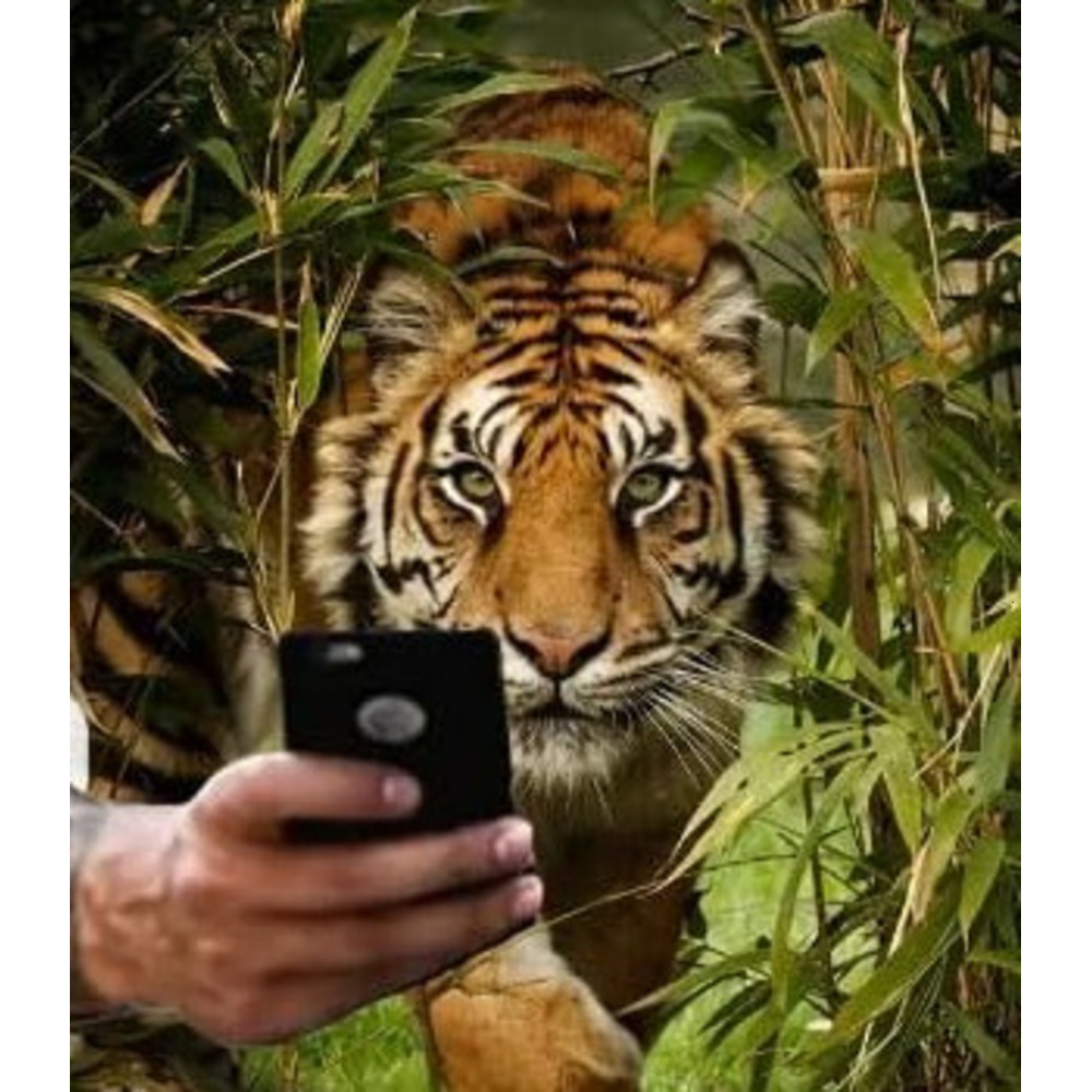 Mens T shirt Fashion 3D Printed Animal Tiger Lion Face Man T-Shirt New Loose Casual Summer Tee Shirt Harajuku Oversized T Shirt tee Fashion and leisur