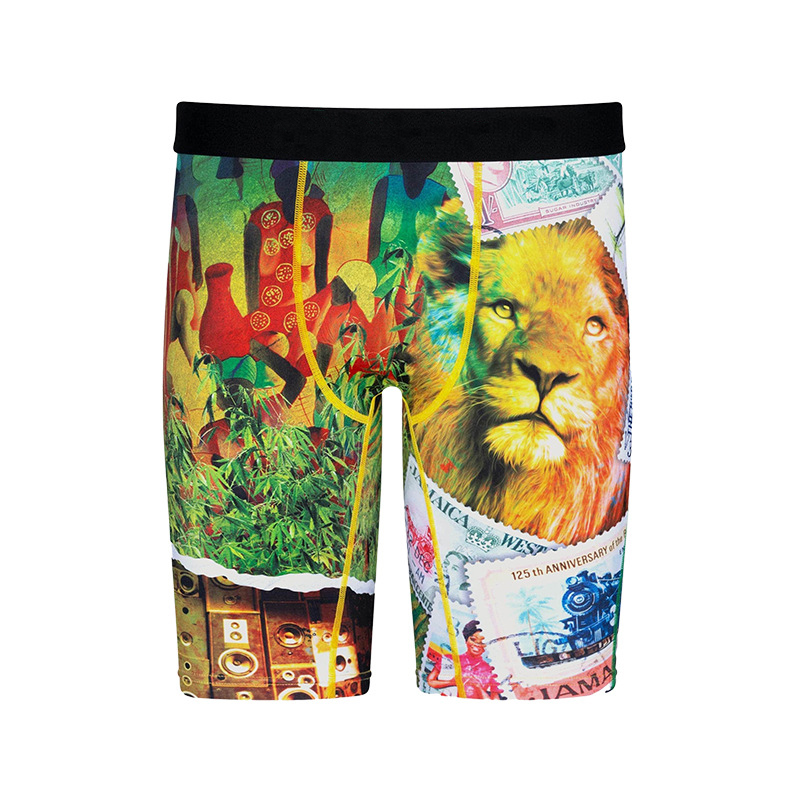 Multi Style Can Choose Style Underwear Mens Sport underpant Basketball underpants Swimming underwears men boxers underwear Retail Wholesale size S -3X