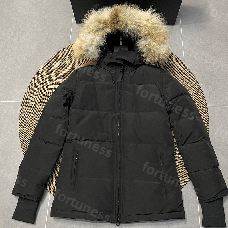 Designer Winter Wom… - image