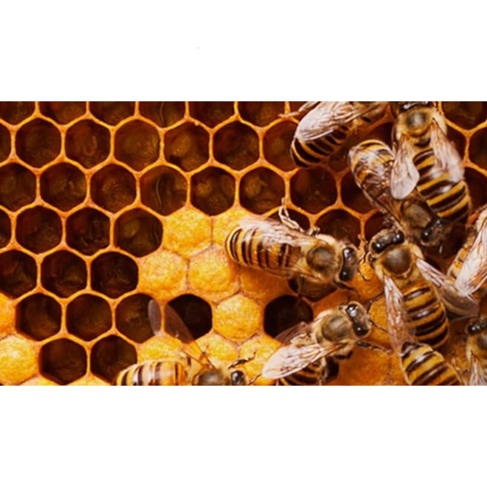 Mens T shirt Summer Fashion Horror Skull 3D Printed T Shirt O-Neck Short Sleeve Casual Cool fashion Breathable Male T Shirt Men Clothing tee Casual to