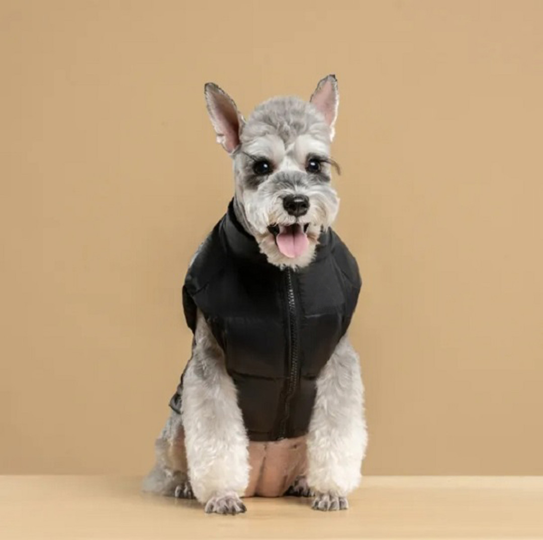 Autumn and winter dog clothing dog face dog clothes coat brand-name pet clothing windproof warm pet vest French bulldog Bixiong Chihuahua poodle black