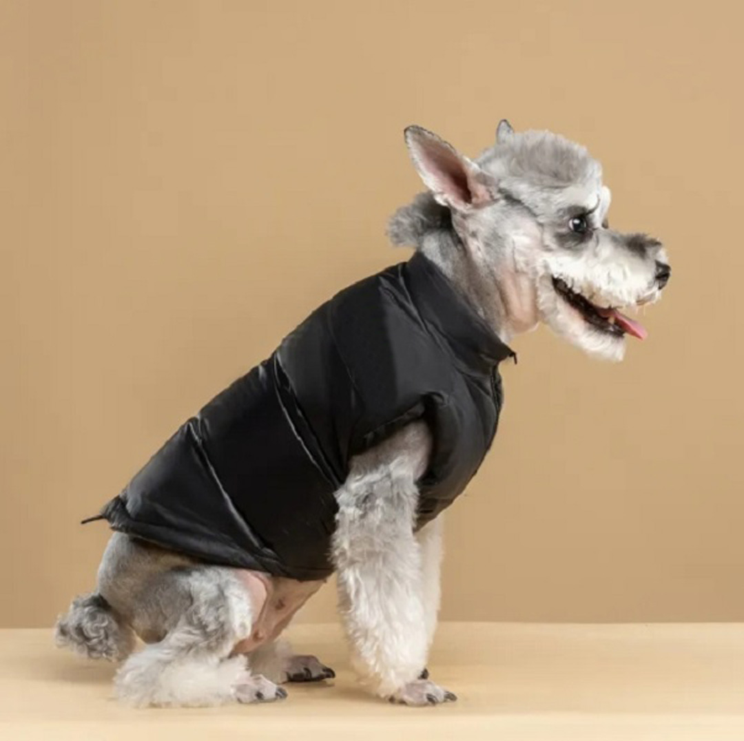 Autumn and winter dog clothing dog face dog clothes coat brand-name pet clothing windproof warm pet vest French bulldog Bixiong Chihuahua poodle black