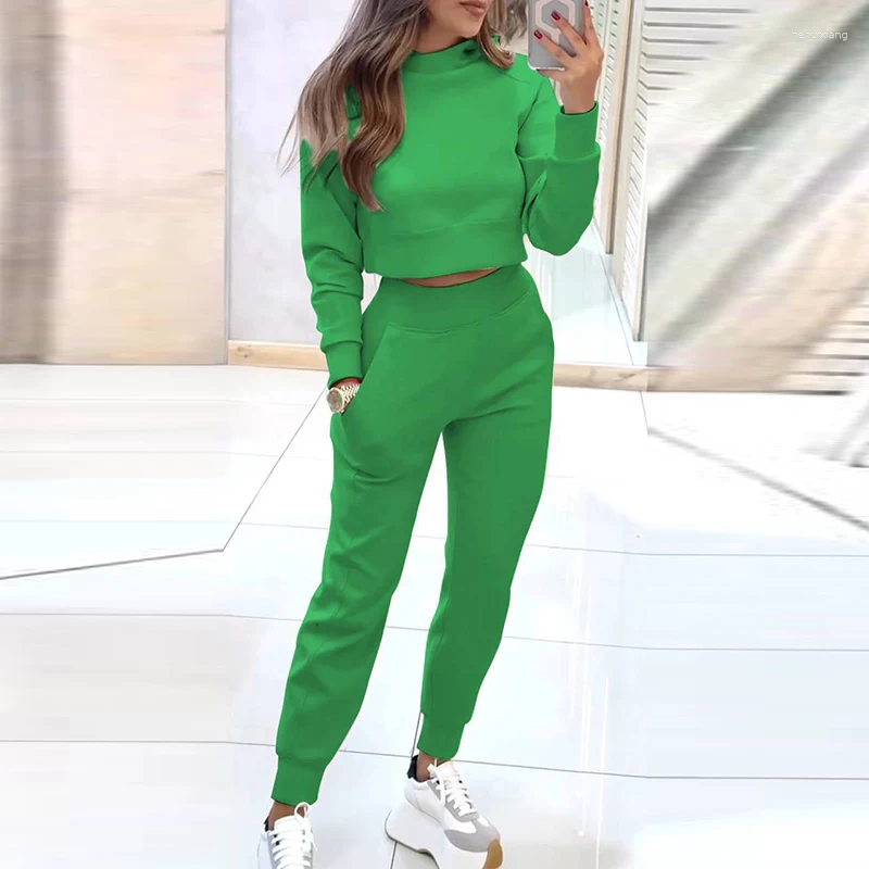 Two Piece Sports Set: Pullover And Pants Suit, Multi-Color, Casual Loose Fit