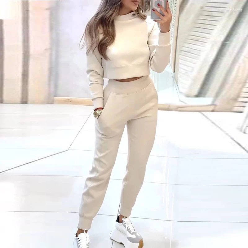 Two Piece Sports Set: Pullover And Pants Suit, Multi-Color, Casual Loose Fit